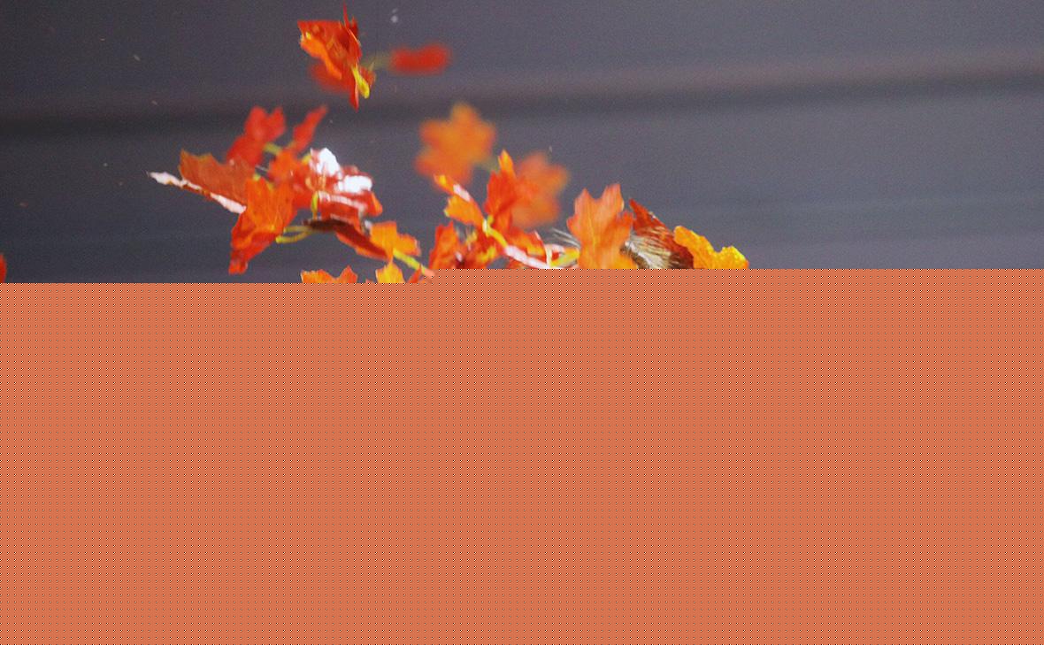 Умерла заслуженная артистка России Елена Михеева