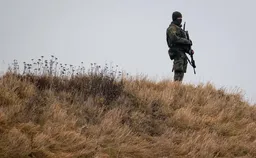 Подоляк: четыре страны готовы отправить на Украину миротворцев