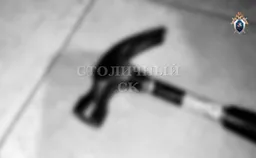 На западе Москвы женщина убила своего 6-летнего сына и пыталась покончить с собой