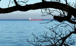 ⚡️ Российские газовозы изменили маршруты после атаки морских дронов на танкер Arctic Metagaz в Средиземном море