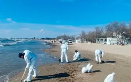 Новый выброс нефтепродуктов ликвидируют около центрального пляжа Анапыерштаб