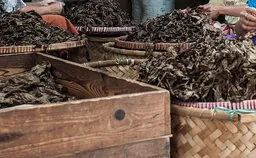 В России установили минимальные цены на девять видов табачной продукции