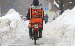 Управляющая «Додо Пиццы» уволилась после скандала с бродячей собакой