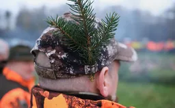 В Германии за год обнаружили почти 3 тысячи кабанов, зараженных радиацией из-за последствий Чернобыля