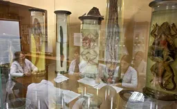 Студенты «трудных и наукоемких» направлений в России будут учиться 6 лет