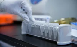 Путин создал госкомпанию по разработке ветпрепаратов после массового забоя скота в регионах