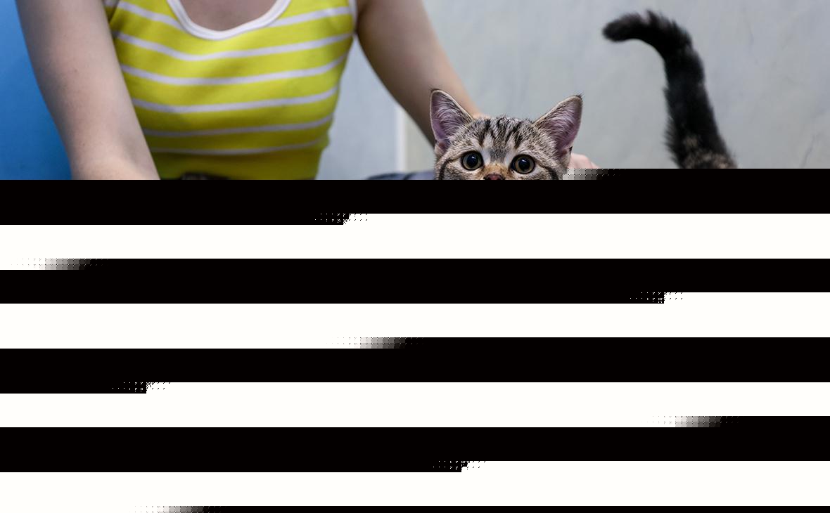 В Госдуму внесли законопроект о создании базы домашних животных