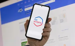 «Госуслуги» запустили реестр злостных неплательщиков алиментов