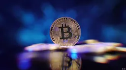 За незаконный оборот крипты в России предложили сажать на срок до семи лет