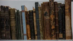 Шестерых граждан Грузии осудили в Париже за кражу книг русских классиков