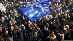 ЕС приостановил безвизовый режим для владельцев дипломатических паспортов Грузии