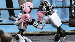 被吐槽“最没人味春晚” 机器人组团亮相求“破圈”