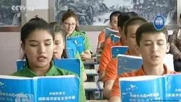 德语媒体：以“民族团结”之名 行“民族同化”之实