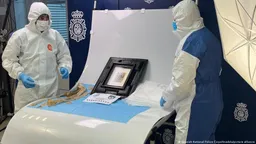 Полиция Франции нашла картину Пикассо во время обысков по делу о наркоторговле