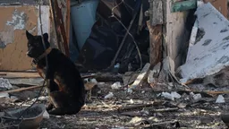 Минобороны РФ сообщило о поражении в среду 32 украинских беспилотников