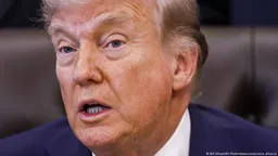 WP: Трамп намерен пригласить Путина на G20 в Майами