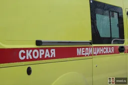 В Екатеринбурге 4-летний мальчик выпал из окна 15 этажа на Таватуйской