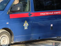 Бастрыкин запросил доклад о массовом отравлении детей в Большом Истоке