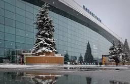 «Домодедово» выставят на аукцион с понижением 29 января