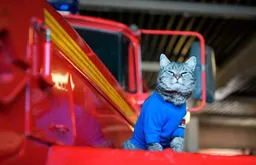 До 5 тысяч срочников планируют ежегодно направлять на службу пожарными