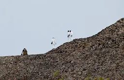 Тринадцать человек, в том числе россиянин, пострадали при стрельбе у пирамид в Мексике