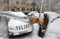 Синоптики раскрыли, когда погода в Москве придет к норме после снегопада