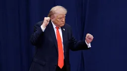 Трамп: Путин и Зеленский открыты к попыткам примирения Москвы и Киева