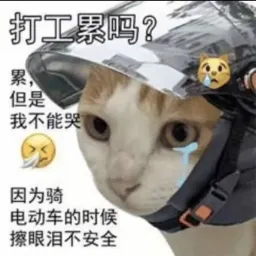 国安部说“躺平是境外势力蛊惑”，年轻人疑惑