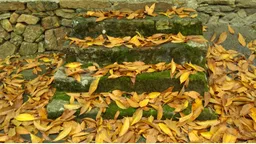 【議想天開】夢亦非｜落葉之書（長詩）