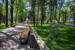 Территория бывшего «Будда бар» возвращена Бишкеку и станет частью парка
