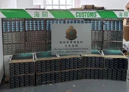 葵涌工廈破私煙儲存倉　檢逾千萬元貨拘3男