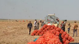 В России уроженцу Таджикистана отказали в возвращении гражданства
