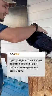 💔 Брат блогера, известного своим питомцем — вороном Гошей, рассказал о причинах его ухода из жизни