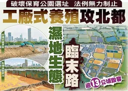 東方日報A1：工廠式養殖攻北都　濕地生態臨末路　逾13公頃毀容