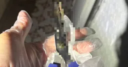 快訊／士林男遭前��刺傷 緊急送醫