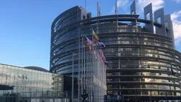 Европарламент требует вернуть запрет на соболиный мех из России