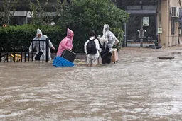 台风不只是一场风：风、潮、雨如何合成上海的风险账