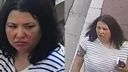 摩纳哥乌寡头遭包裹炸弹袭击案 嫌疑女子遭枪杀 尸体在基辅附近被发现