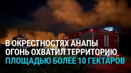 Сильный пожар в окрестностях курортной Анапы: горит заболоченный лес в плавнях