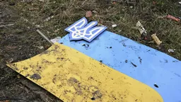 Лантратова: Киев введёт режим прекращения огня в Алёшках в одно время с Москвой
