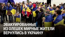 Видео и статьи