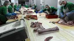 Лукашенко объяснил, зачем в Беларусь позвали тысячи мигрантов