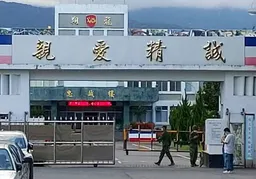 金六結「翔龍部隊」新兵看完病竟溜了！　桃園男成逃兵通緝犯下場曝