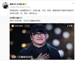 那英心痛送别刘欢