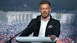 Петер Мадьяр: "Мы изменим правила усыновления для одиноких и однополых пар"
