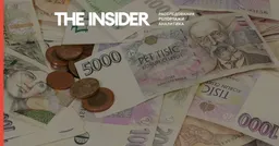 Правительство Чехии поддержало закрепление кроны в конституции, чтобы затруднить переход на евро