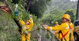 全台逾22.4萬戶停電！台電風雨中搶修 網喊：出勤平安