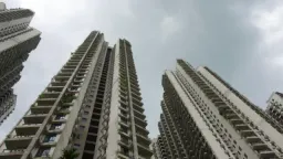 海滨公寓原本空无一人，然后警察说，诈骗犯搬进来了