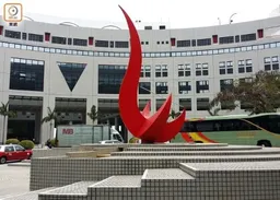 科大調查指本港72.7%受訪者工作中使用AI　比例遠高於全球平均水平