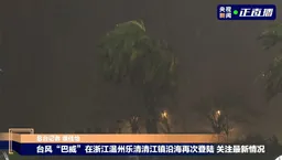 台风“巴威”在浙江乐清二次登陆